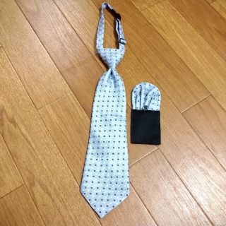 ヒロミチナカノ(HIROMICHI NAKANO)のヒロミチナカノのネクタイとポケットチーフ(ドレス/フォーマル)
