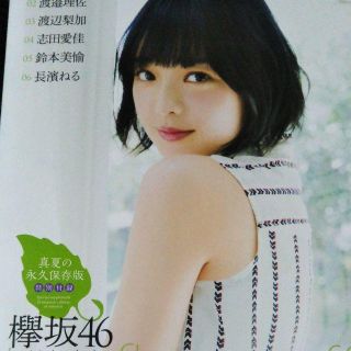 ケヤキザカフォーティーシックス(欅坂46(けやき坂46))の欅坂46ミニ写真集永久保存版付き　月刊エンタメ　志田愛佳　平手友梨奈(音楽/芸能)