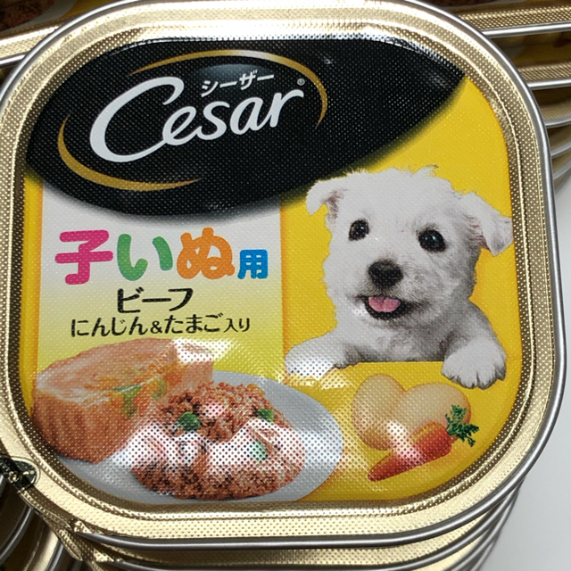 CASAR(シーザー)のシーザー 子いぬ用　146個！（50個〜バラ売り可）※1個あたり90円！！ その他のペット用品(ペットフード)の商品写真