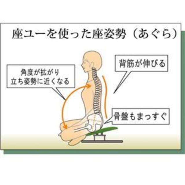 日本製 あぐら椅子/正座椅子 【背もたれ付き モスグリーン×ブラック】 幅60 インテリア/住まい/日用品の椅子/チェア(座椅子)の商品写真