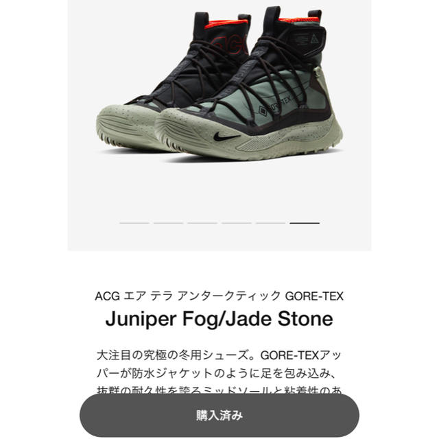 ナイキ ACG エア テラ アンタークティック 1