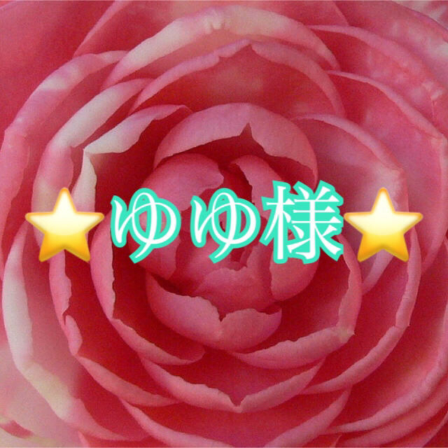 卸売り ゆさま 確認用