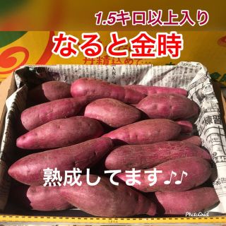 なると金時2Sサイズ 送料無料(野菜)