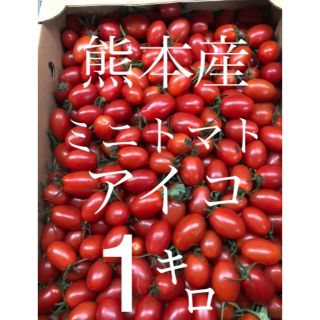 熊本産 ミニトマト❤︎アイコ1キロ(野菜)