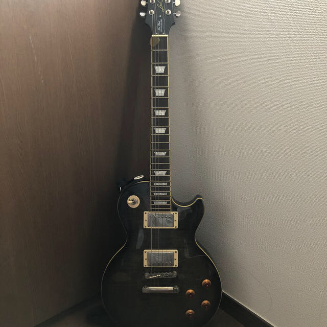 epiphone  les paul standard pro