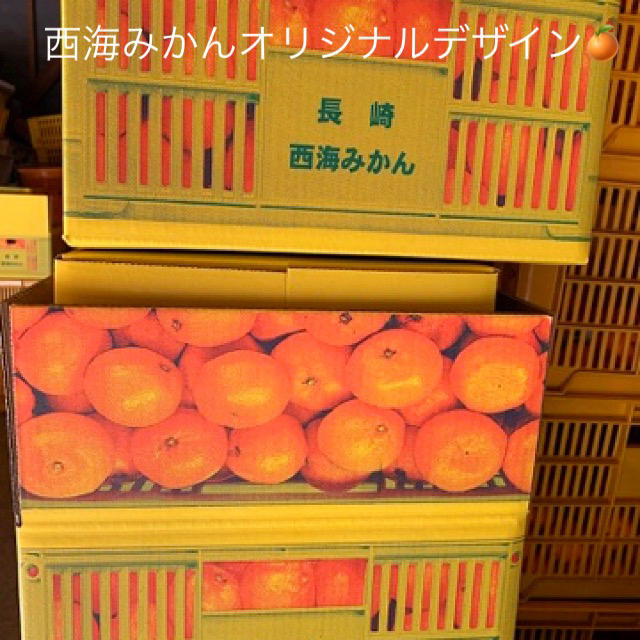 長崎県訳あり傷あり西海みかん約10Kg 3Sサイズ（一粒約50g） 食品/飲料/酒の食品(フルーツ)の商品写真