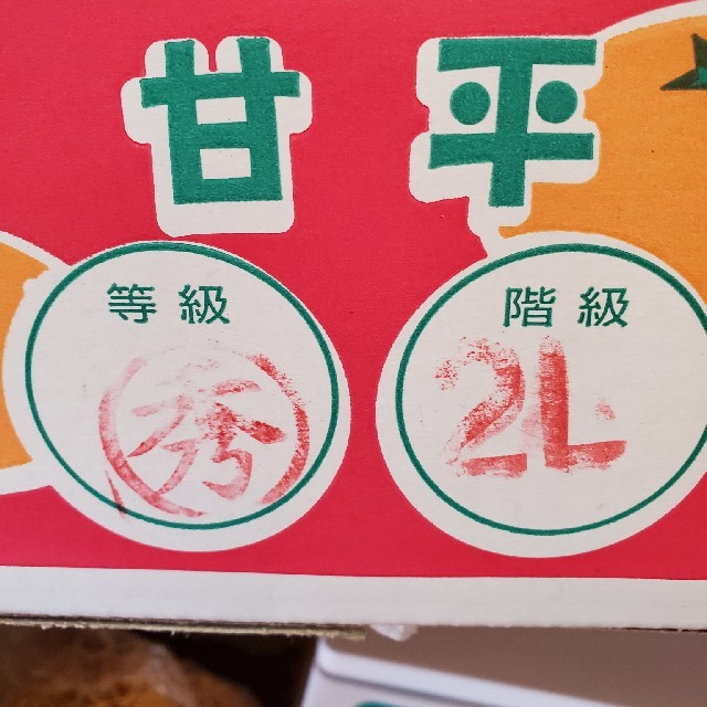 激安!!　愛媛県産「甘平」２Lサイズ　5kg 食品/飲料/酒の食品(フルーツ)の商品写真