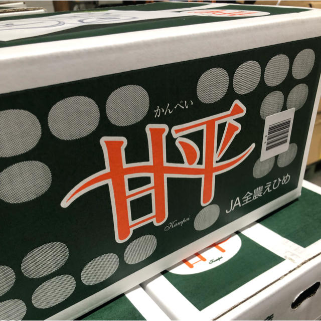 甘平 約 5kg  M 食品/飲料/酒の食品(フルーツ)の商品写真