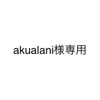 トリプルエー(AAA)のakualani様専用となります。(その他)