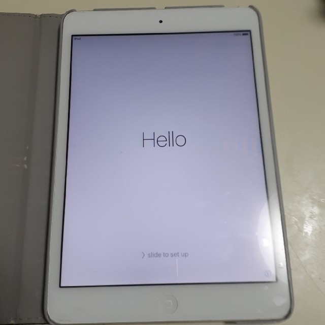 iPadmini