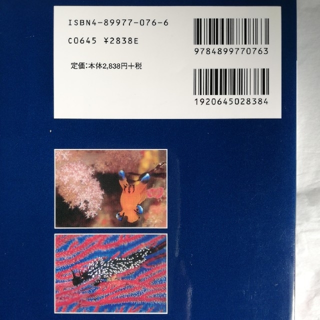 ウミウシ図鑑 本州のウミウシの通販 By あくあ S Shop ラクマ