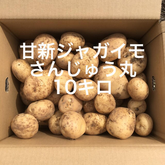 鹿児島産甘新ジャガイモ10キロ^_^ 食品/飲料/酒の食品(野菜)の商品写真