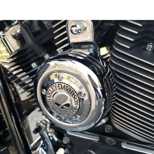Harley Davidson(ハーレーダビッドソン)のアレンネス　ホーンカバー 自動車/バイクのバイク(パーツ)の商品写真