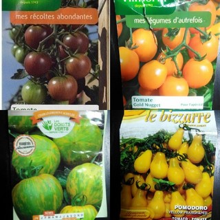 1月～5月蒔き　イタリア野菜の種子など。カラフルなトマトの種　4種類10粒ずつ(その他)