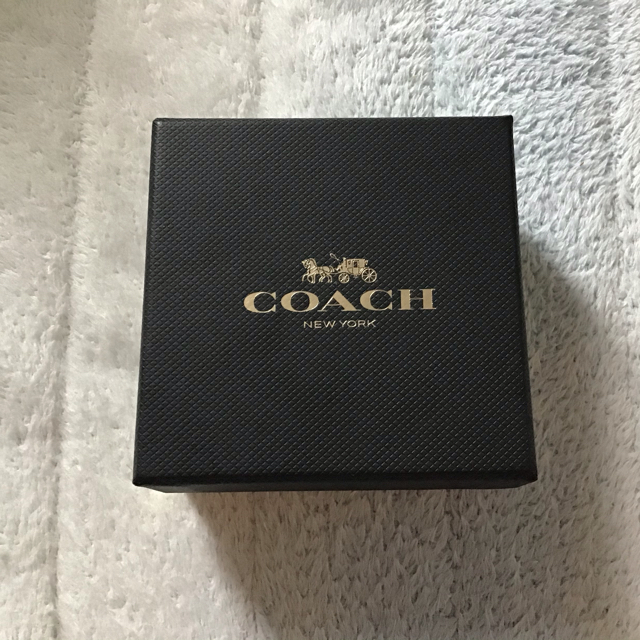 COACH(コーチ)のコーチ　ピアス　ネックレス　セット レディースのアクセサリー(ネックレス)の商品写真