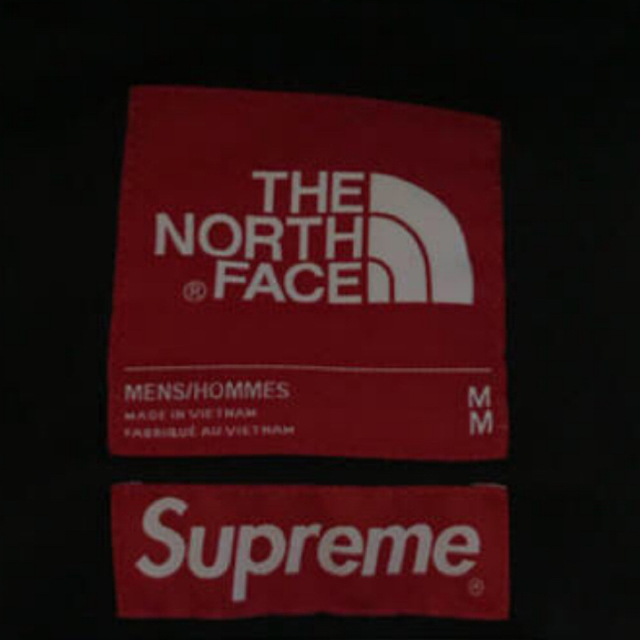 Supreme(シュプリーム)のsupreme north face メンズのジャケット/アウター(マウンテンパーカー)の商品写真