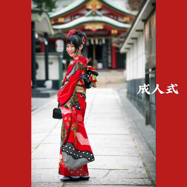 日本最級 成人式 結婚式 正絹お振袖 フルセット 振袖 - nandis.com.br