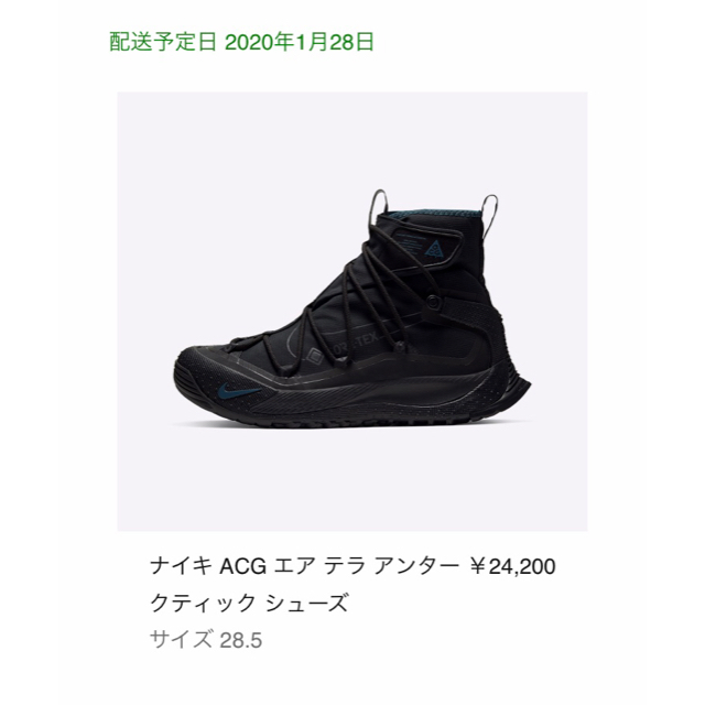 NIKE(ナイキ)のACG  エアテラアンタークティック ゴアテックス ブラック メンズの靴/シューズ(スニーカー)の商品写真
