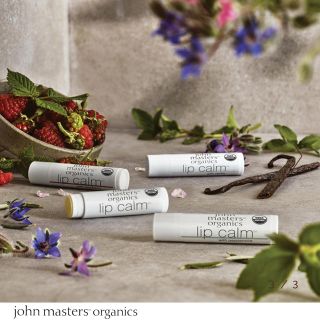 ジョンマスターオーガニック(John Masters Organics)のjohn masters organics リップカーム(リップケア/リップクリーム)