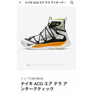 ナイキ(NIKE)のACG  エアテラアンタークティック ゴアテックス ホワイト(スニーカー)