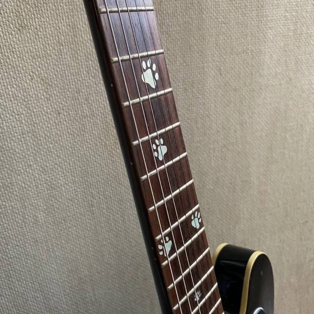 Epiphone dot E3 +DiMarzio DP211 212