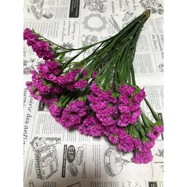 ベスト50 スターチス ピンク 最高の花の画像 ベスト50 スターチス ピンク 最高の花の画像