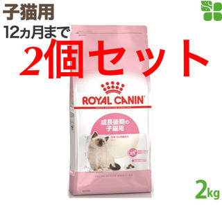 ロイヤルカナン(ROYAL CANIN)のロイヤルカナン FHN キトン 子猫用 2kg(ペットフード)