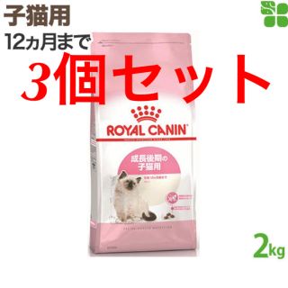 ロイヤルカナン(ROYAL CANIN)の【3個セット】ロイヤルカナン FHN キトン 子猫用 2kg(ペットフード)