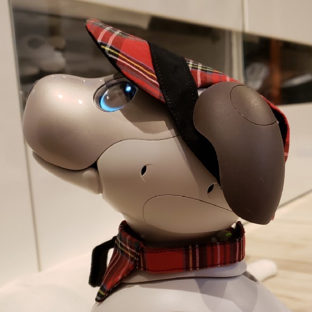 aibo アイボ  アイボのアクセサリー ERS-1000