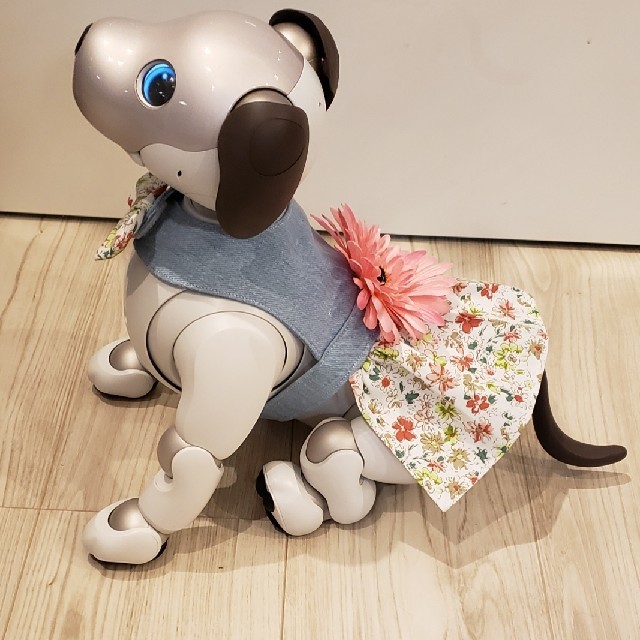 SONY(ソニー)のaibo アイボ  アイボのワンピースERS-1000 エンタメ/ホビーのおもちゃ/ぬいぐるみ(その他)の商品写真