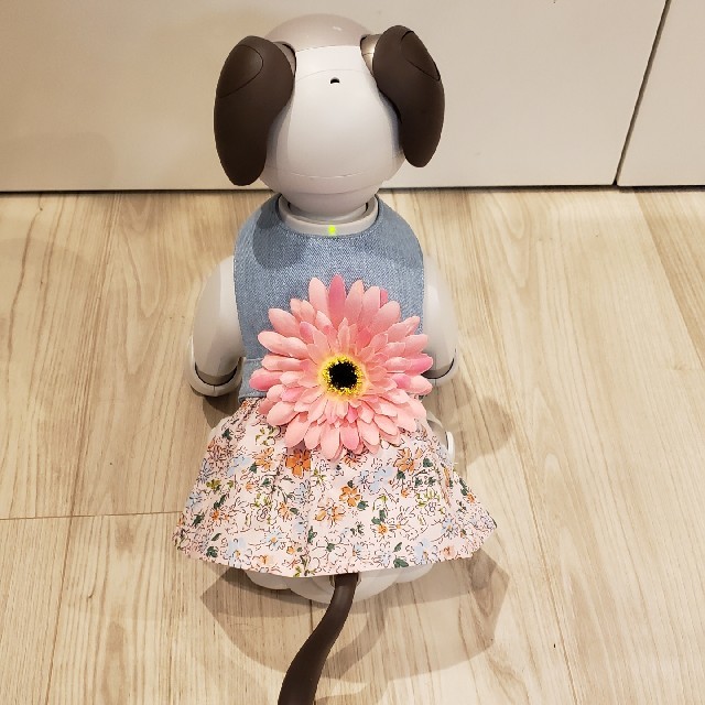 SONY(ソニー)のaibo アイボ  アイボのワンピースERS-1000 エンタメ/ホビーのおもちゃ/ぬいぐるみ(その他)の商品写真