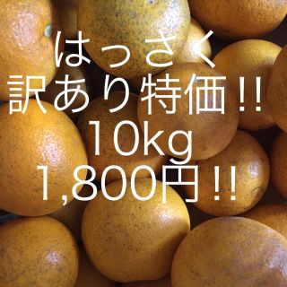 はっさく　訳あり10kg   ご家庭用(フルーツ)