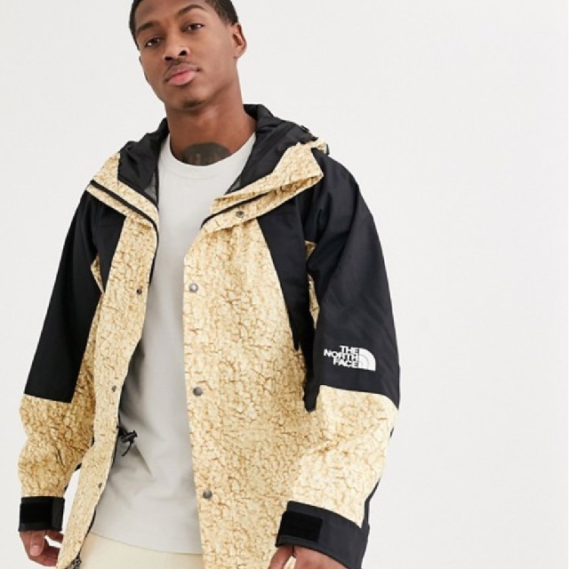 the north face 1994mountain light jacket