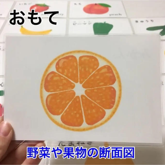 野菜と果物の断面図カード  26枚 ハンドメイド キッズ/ベビー/マタニティのおもちゃ(知育玩具)の商品写真