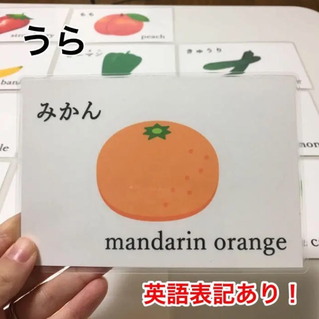 野菜と果物の断面図カード  26枚 ハンドメイド キッズ/ベビー/マタニティのおもちゃ(知育玩具)の商品写真