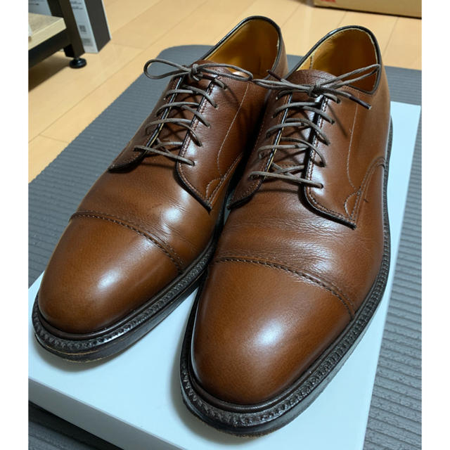 Lloyd&heig Alden製 60's ストレートチップ 9.5 AAA