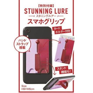 スタニングルアー(STUNNING LURE)のGINGER 3月号付録(ファッション)