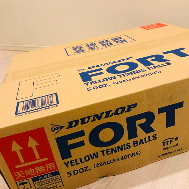 ボール★新品 ★送料無料 ダンロップフォート  DUNLOP FORT. 30缶60球