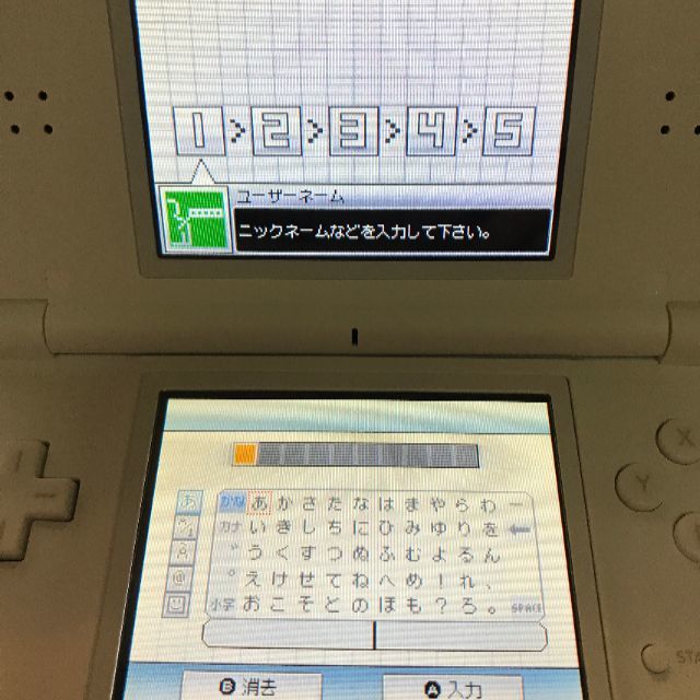 ニンテンドーDS(ニンテンドーDS)の【即決‼︎】任天堂 DS Lite「もっとえいご漬け」 ソフト付き エンタメ/ホビーのゲームソフト/ゲーム機本体(携帯用ゲーム機本体)の商品写真