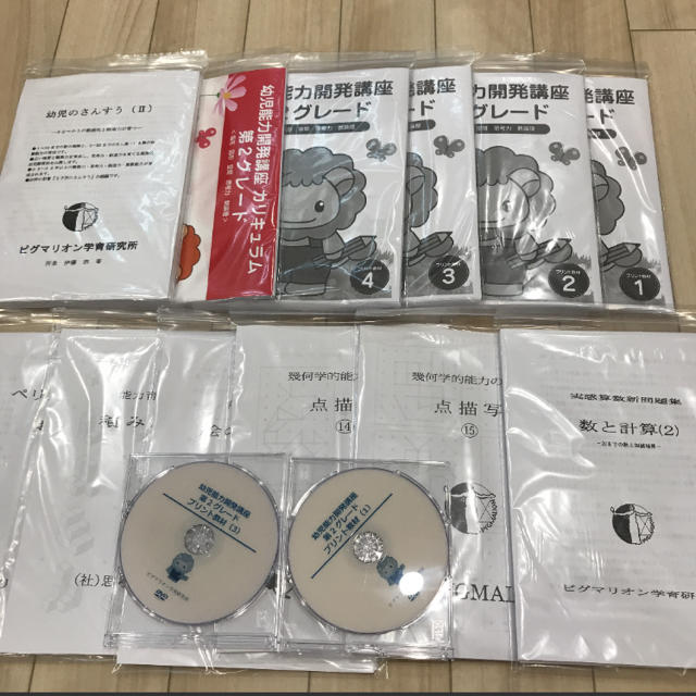 ピグマリオン 第2グレード キッズ/ベビー/マタニティのおもちゃ(知育玩具)の商品写真