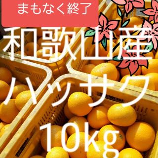 和歌山県産　はっさく　10㎏(フルーツ)