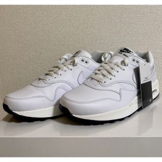 【サカナクション・ナイキ】Airmax1  エアマックス1・26cm NF