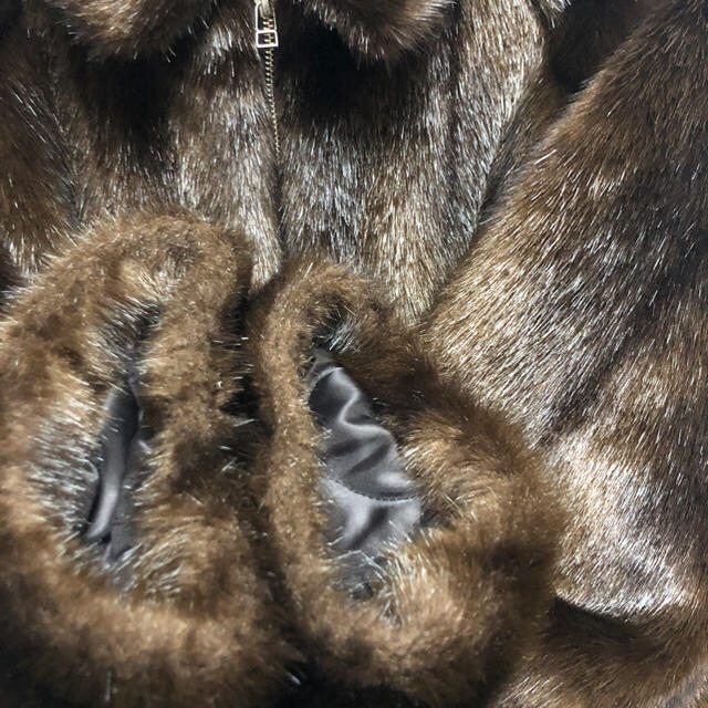 LEINWANDE Faux Fur Jacket / Brown レディースのジャケット/アウター(毛皮/ファーコート)の商品写真