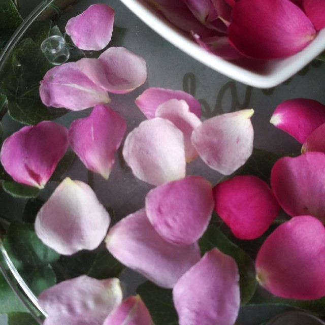 バラの花びら：2カラー ハンドメイドのフラワー/ガーデン(ドライフラワー)の商品写真