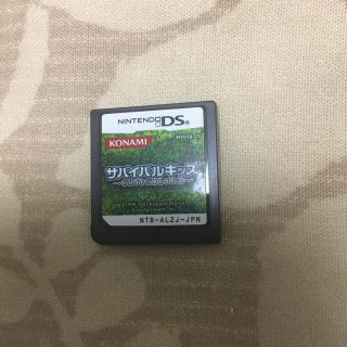 ニンテンドー3DS(ニンテンドー3DS)のサバイバルキッズ Lost in Blue 2 / NINTENDO DS(携帯用ゲームソフト)