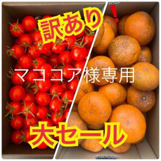 マココア様専用　訳あり❗️みかん 2kg  キャロルセブン1kg(フルーツ)