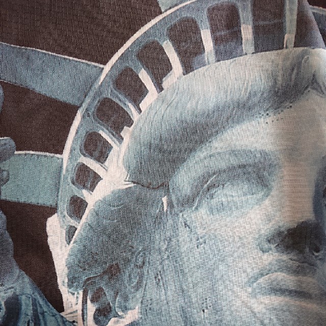 Supreme】TNF Statue of Liberty WATERPROOF