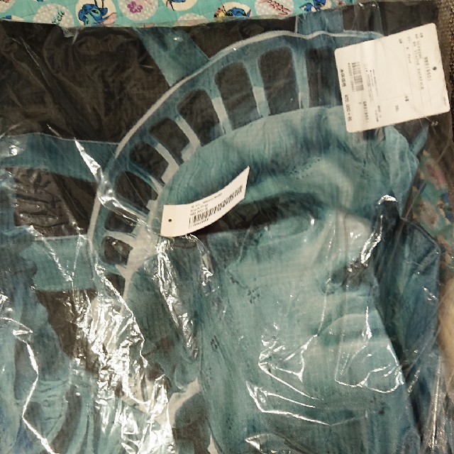 Supreme】TNF Statue of Liberty WATERPROO