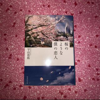 小説 桜のような僕の恋人(文学/小説)