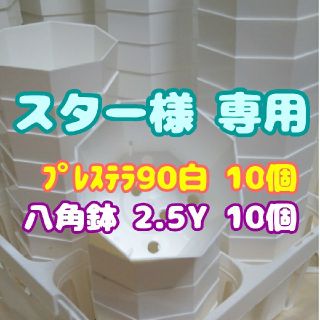 【スター様 専用】カネヤ八角鉢2.5Y×10個+ﾌﾟﾚｽﾃﾗ90白10個多肉植物(プランター)